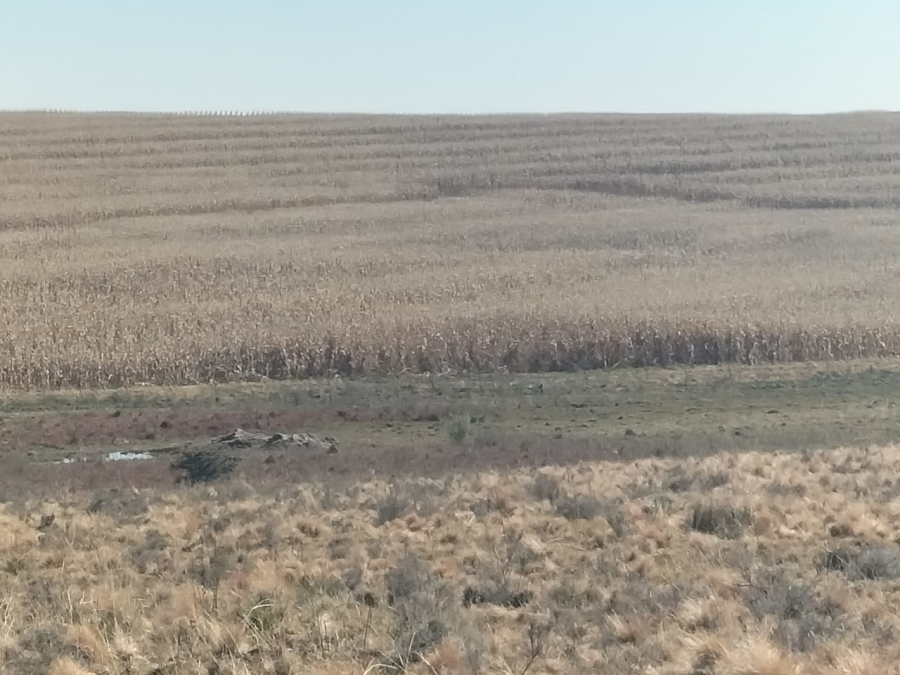 4 Bedroom Property for Sale in Bethlehem Rural Free State